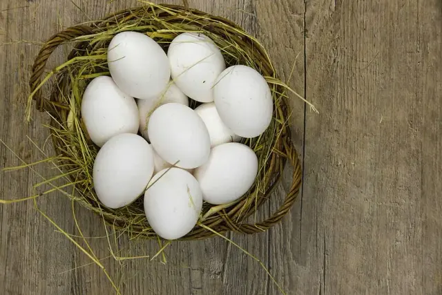 White Eggs